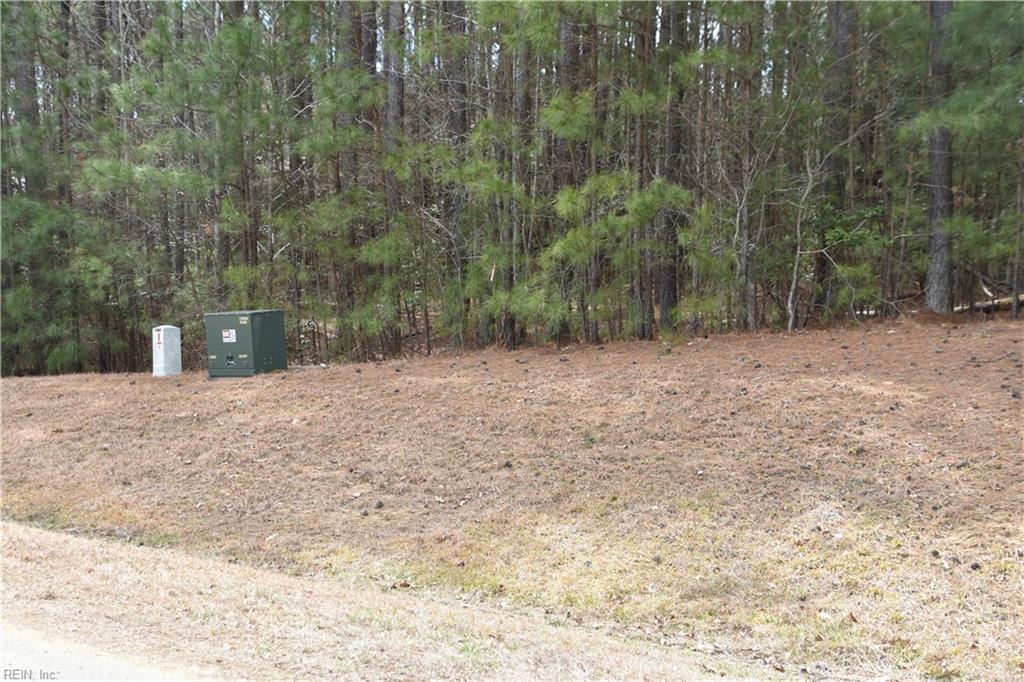 1314 Lawnes Neck Dr Property Photo 3