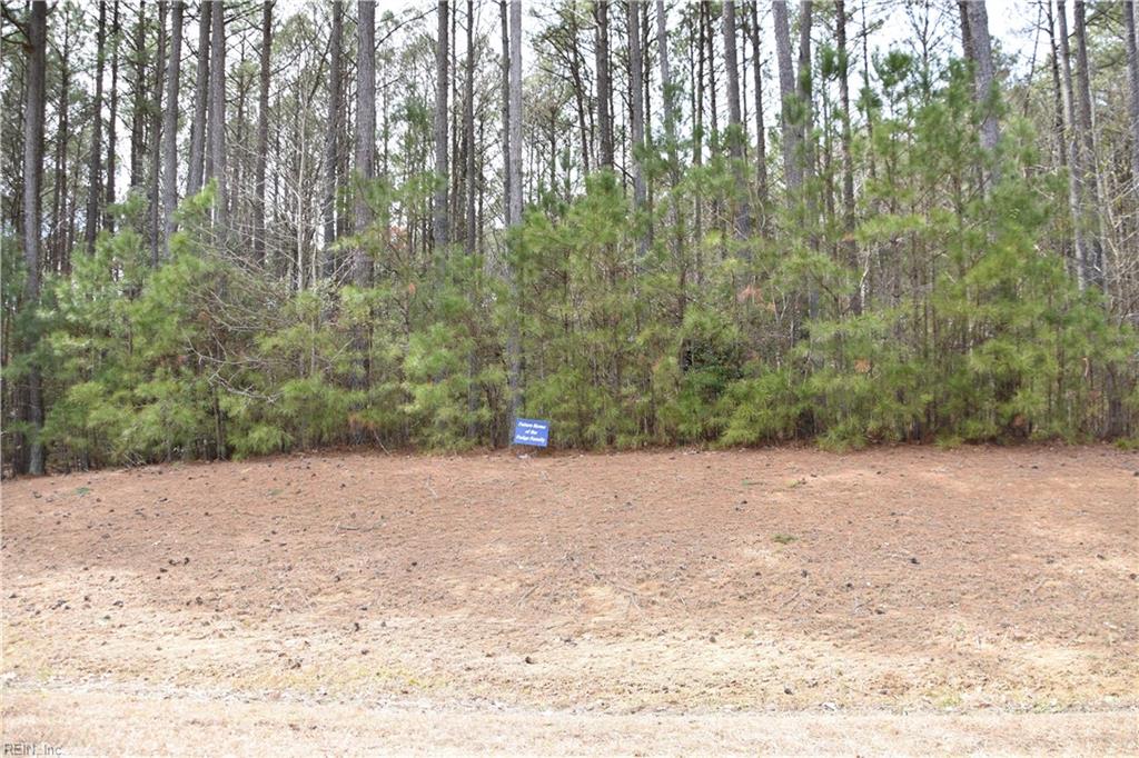 1314 Lawnes Neck Dr Property Photo 5