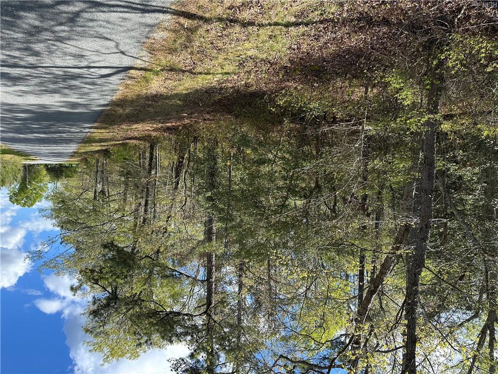 00 Briery Swamp Rd Property Photo 1