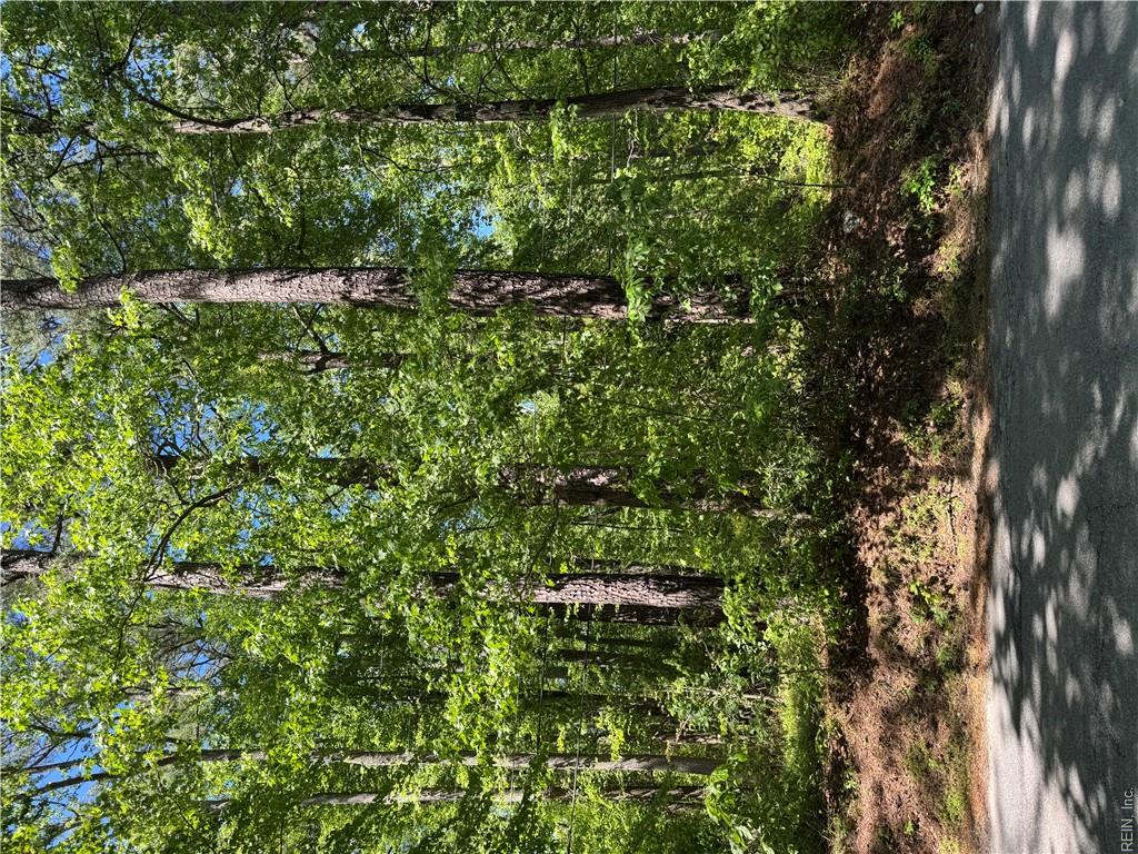 Lot 80 Pughsville Rd Property Photo 1