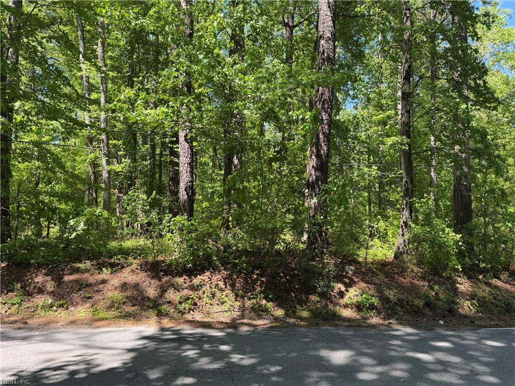 Lot 80 Pughsville Rd Property Photo 2