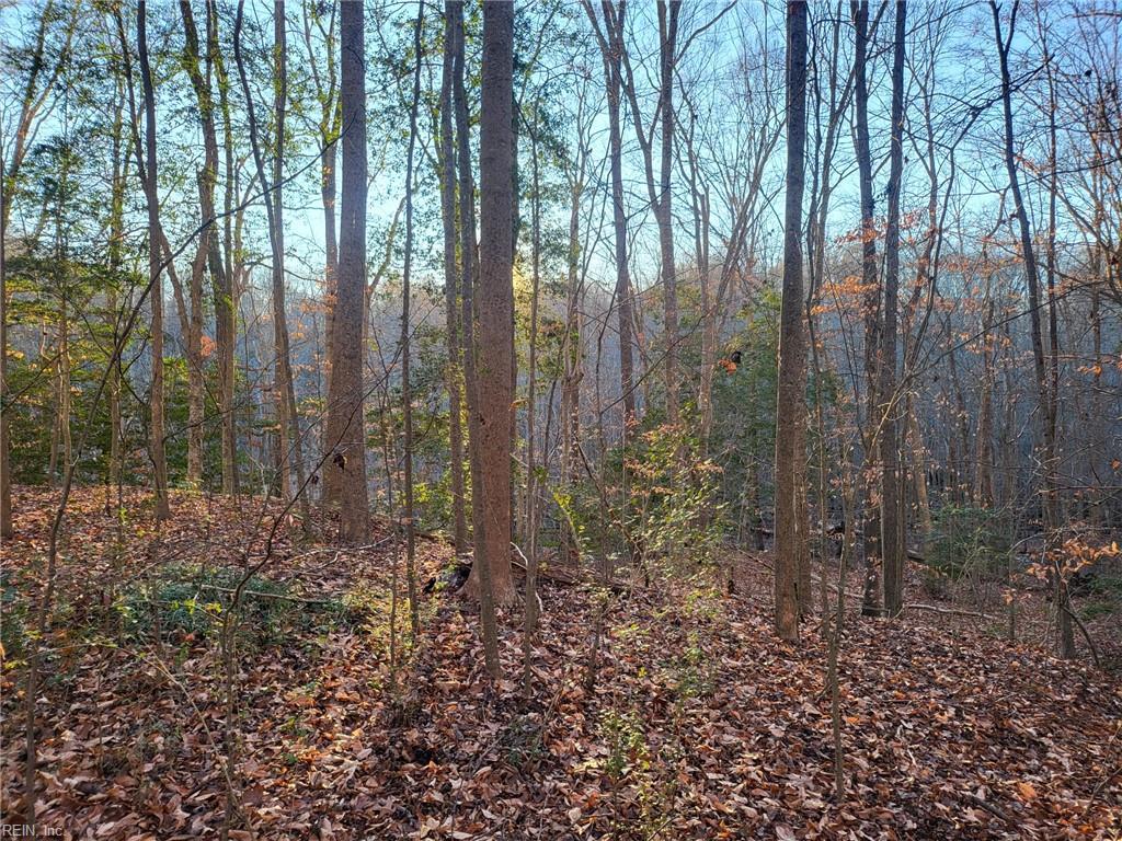 Lot 18 Beech Tree Ct Property Photo 3
