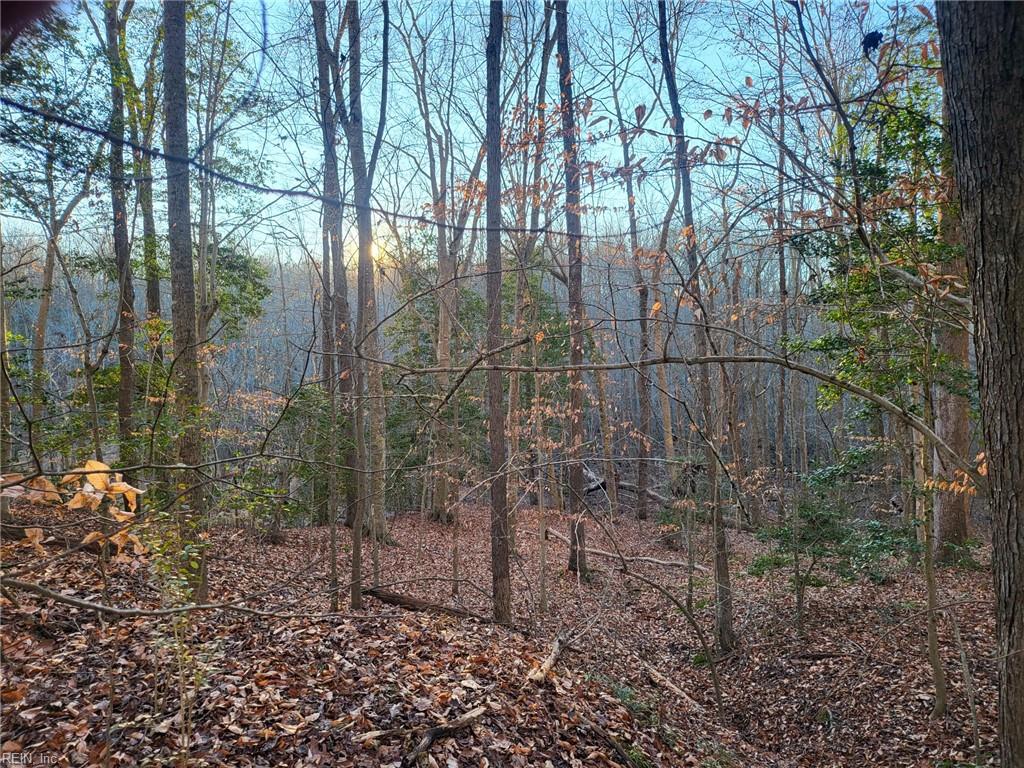 Lot 18 Beech Tree Ct Property Photo 4