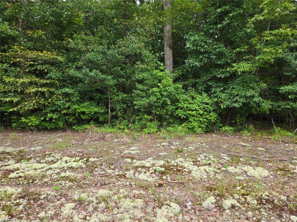 25.5ac Woodland Dr Property Photo 1