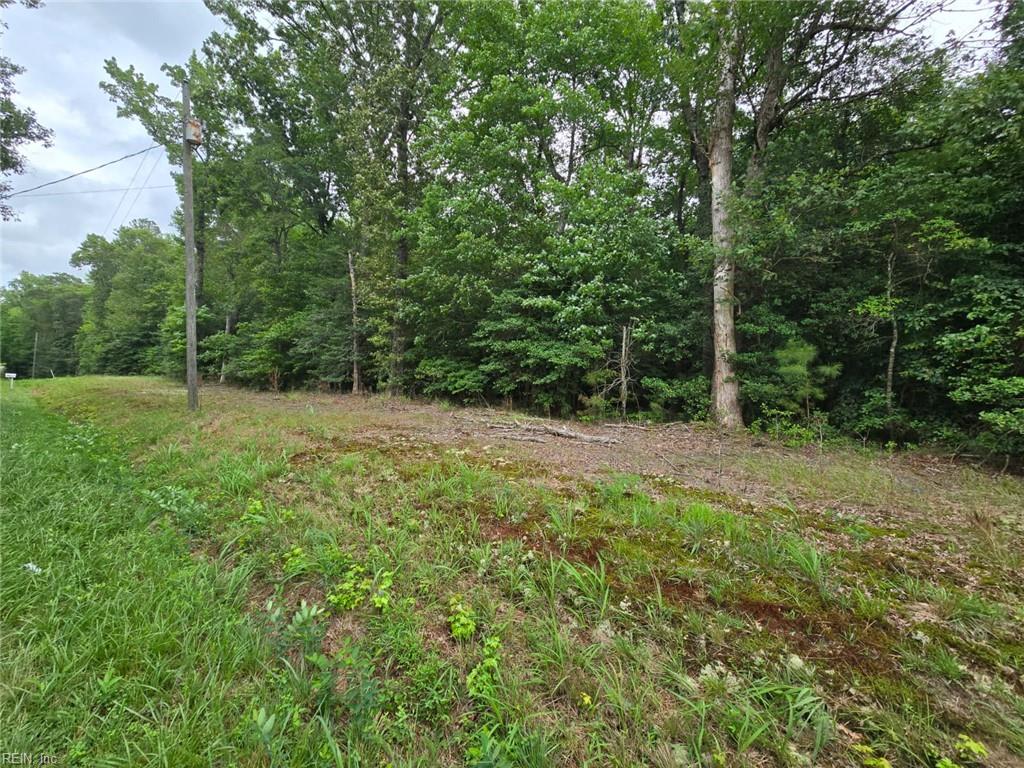 25.5ac Woodland Dr Property Photo 3
