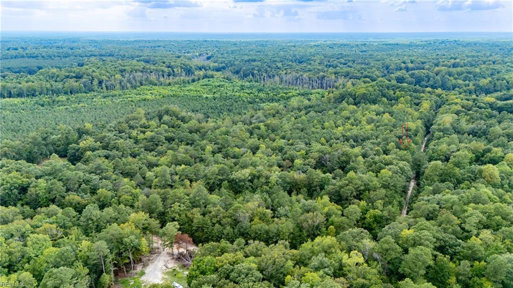 10+ac Beech Creek (10.88ac) Rd Property Photo 1