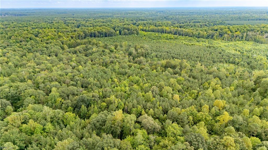 10+ac Beech Creek (10.88ac) Rd Property Photo 2
