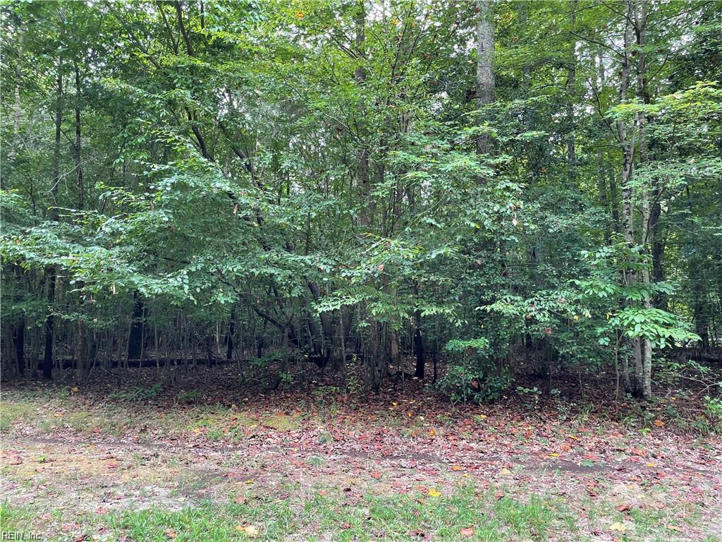 10+ac Beech Creek (10.88ac) Rd Property Photo 3
