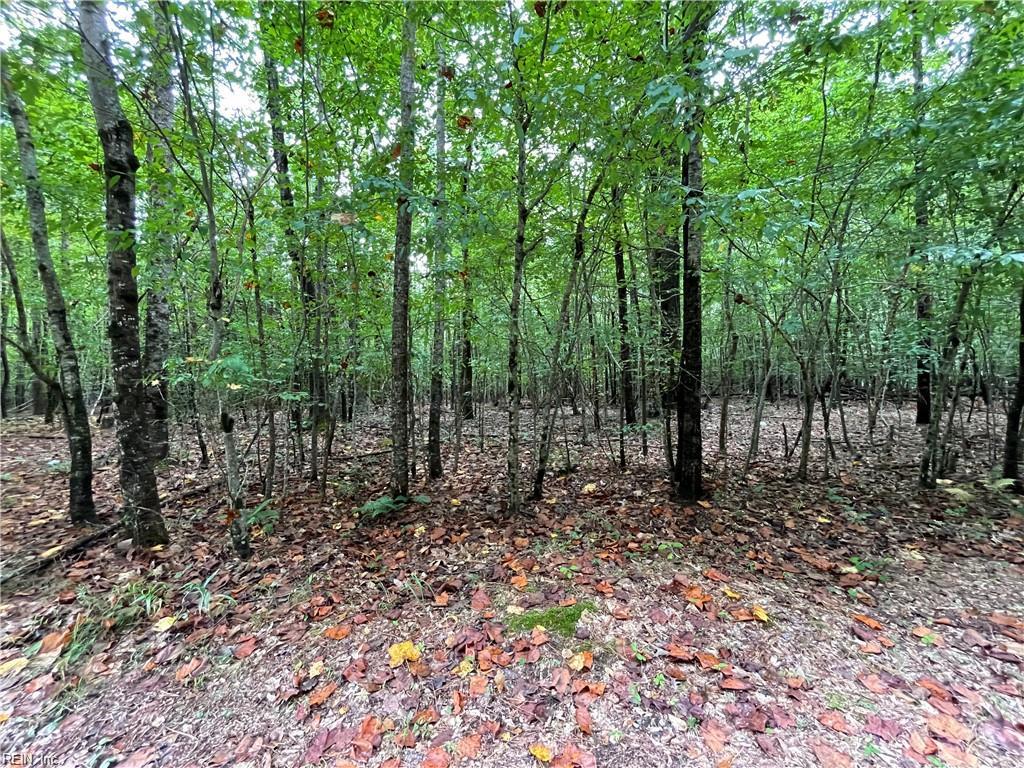 10+ac Beech Creek (10.88ac) Rd Property Photo 4