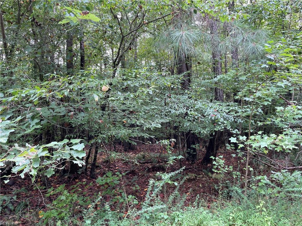 10+ac Beech Creek (10.88ac) Rd Property Photo 5