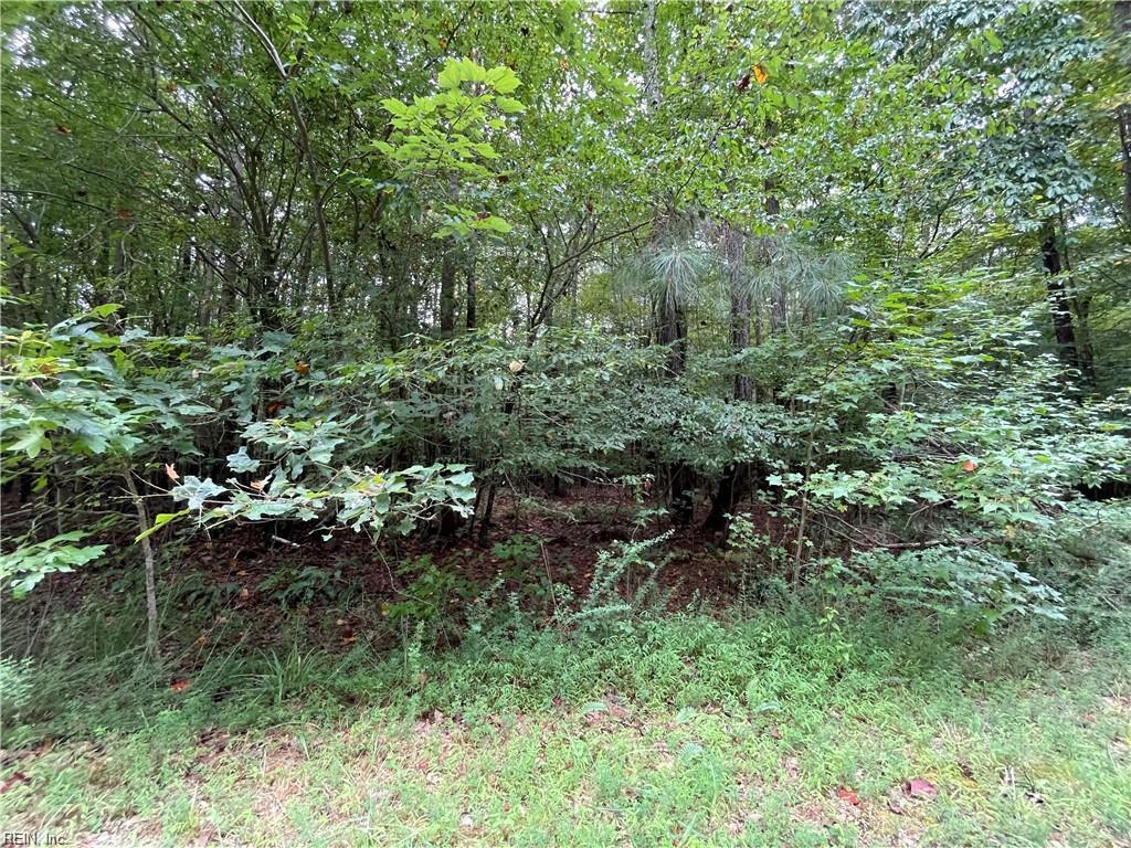 10+ac Beech Creek (10.88ac) Rd Property Photo 6