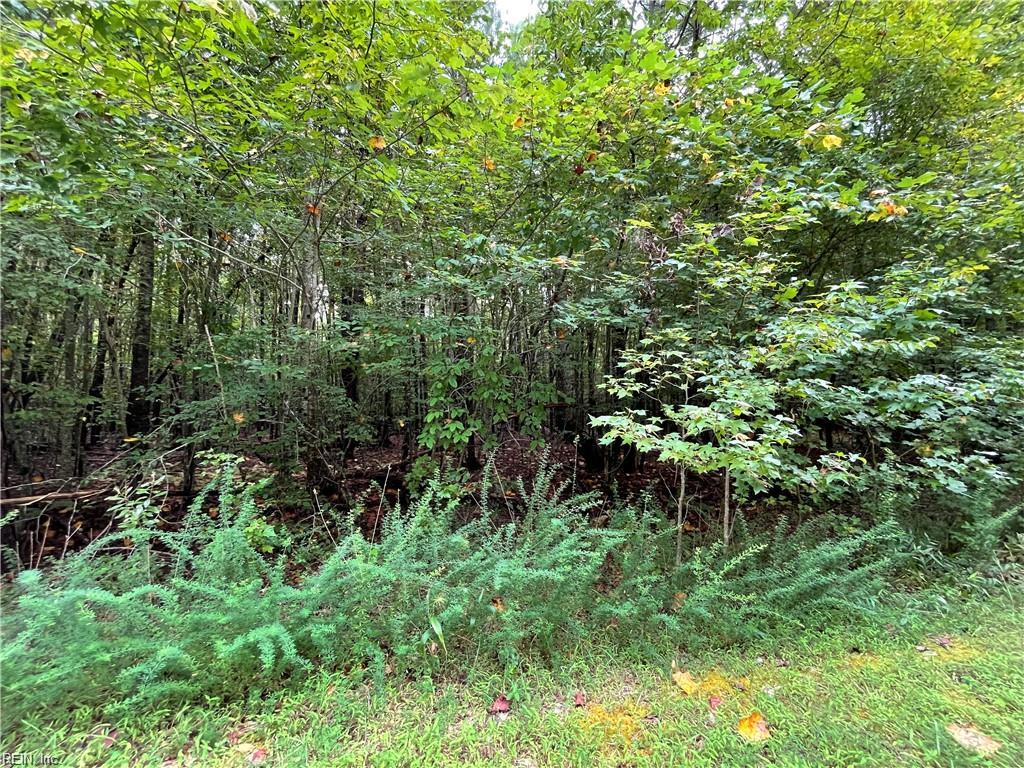 10+ac Beech Creek (10.88ac) Rd Property Photo 7