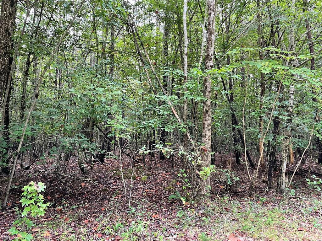 10+ac Beech Creek (10.88ac) Rd Property Photo 8