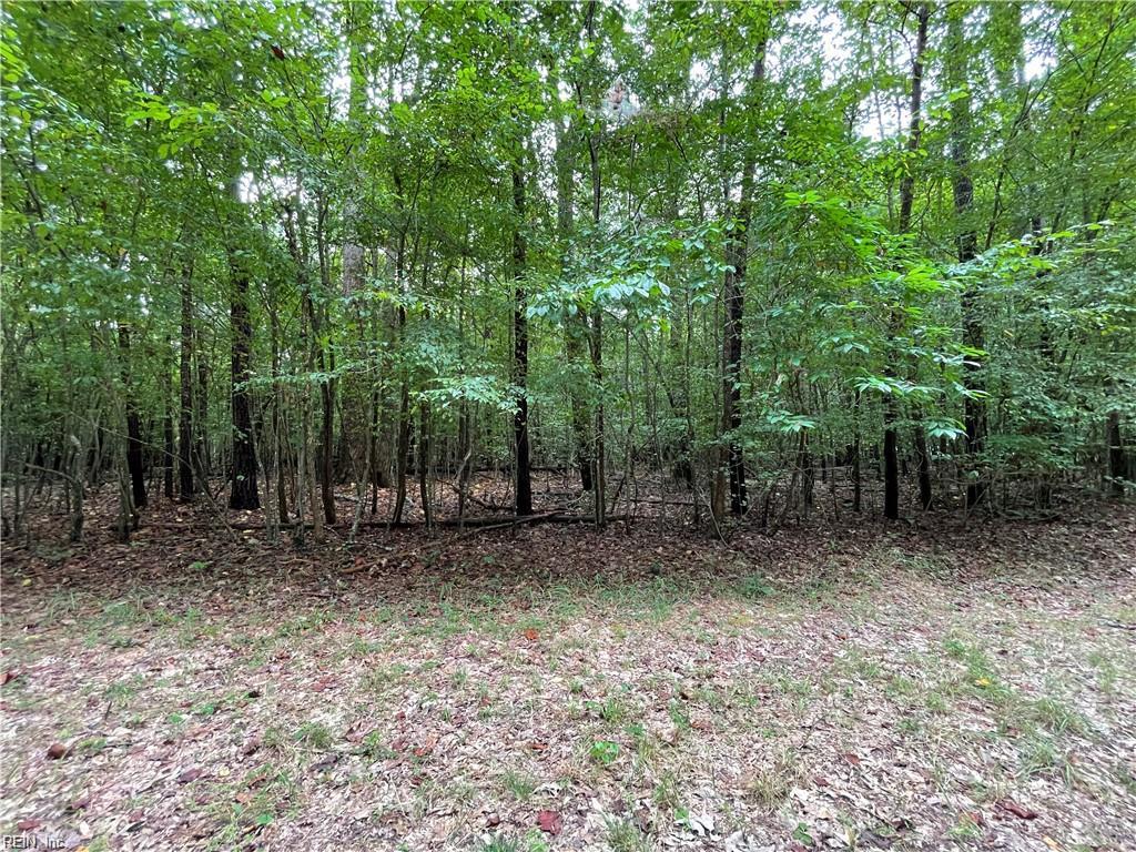 10+ac Beech Creek (10.88ac) Rd Property Photo 9