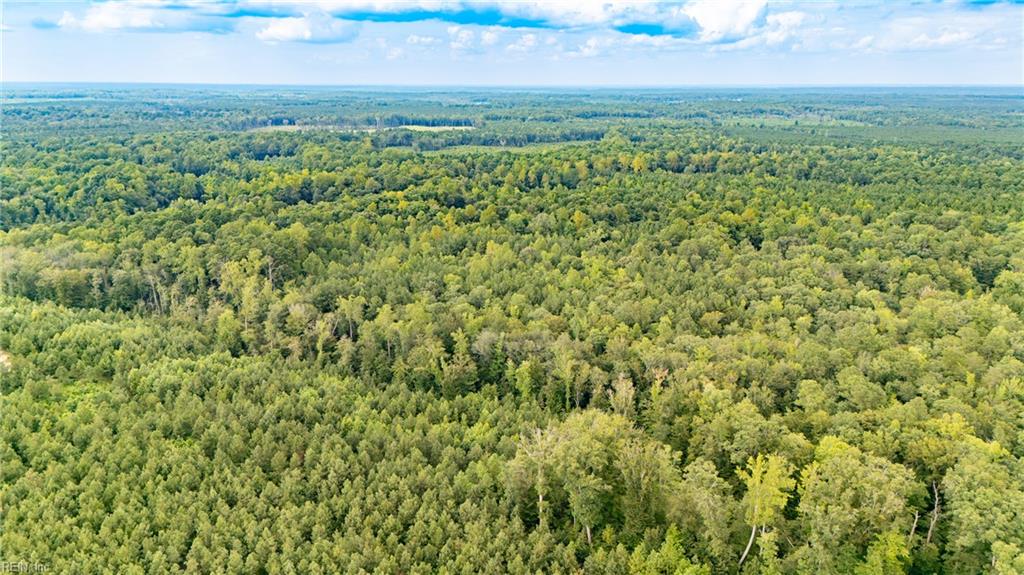 10+ac Beech Creek (10.88ac) Rd Property Photo 12