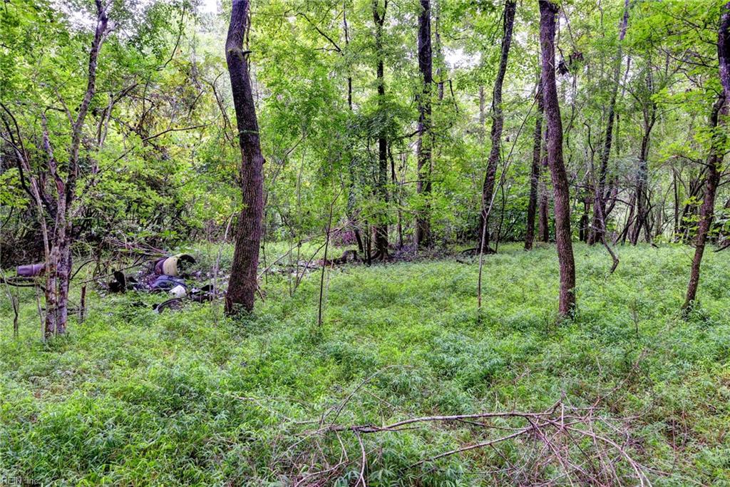200 Jolly Pond Rd Property Photo 3