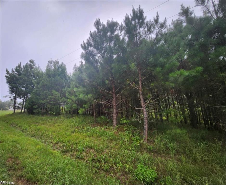 .51+ac Splendors Subd Property Photo 2
