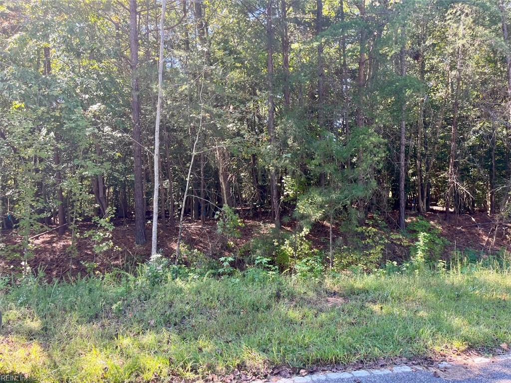 5329 Ridgewood Hls Property Photo 1
