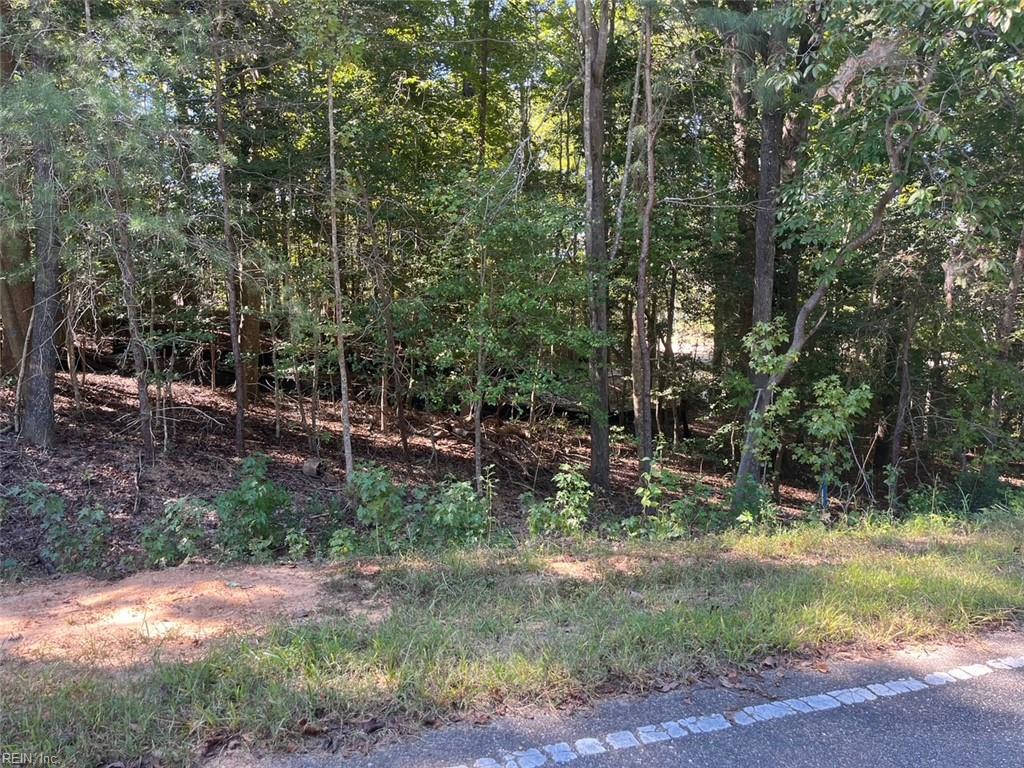 5329 Ridgewood Hls Property Photo 2