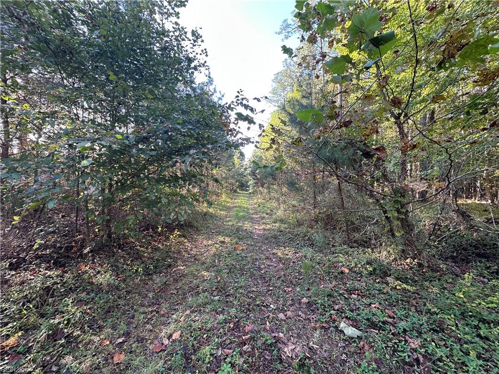 16.4ac Plainview Dr Property Photo 1