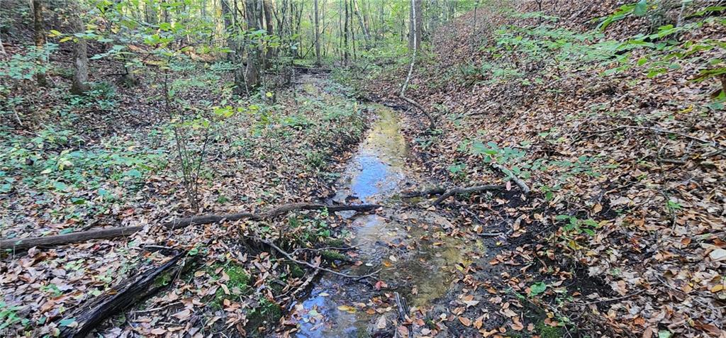 16.4ac Plainview Dr Property Photo 2