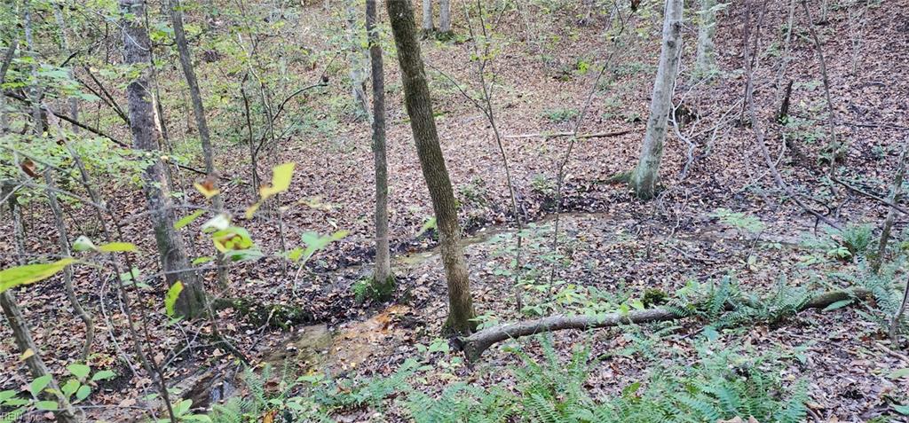 16.4ac Plainview Dr Property Photo 3