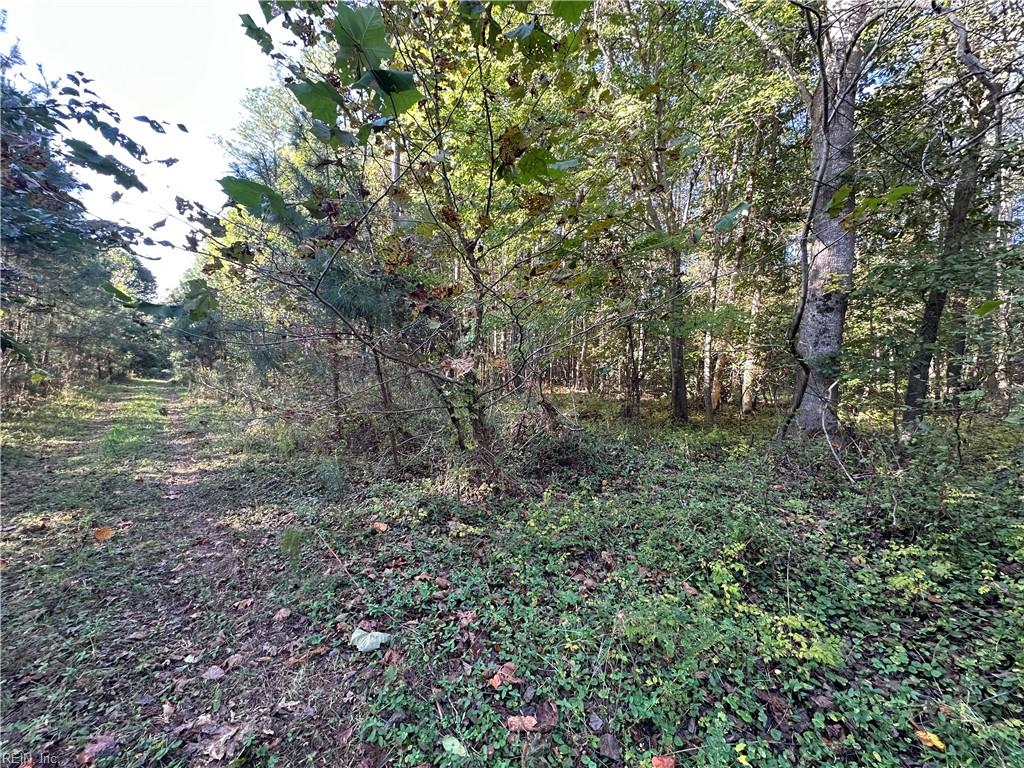 16.4ac Plainview Dr Property Photo 8