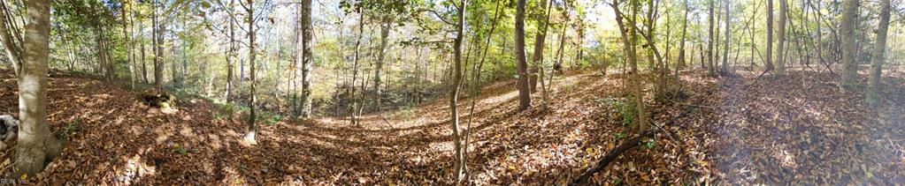 16.4ac Plainview Dr Property Photo 9