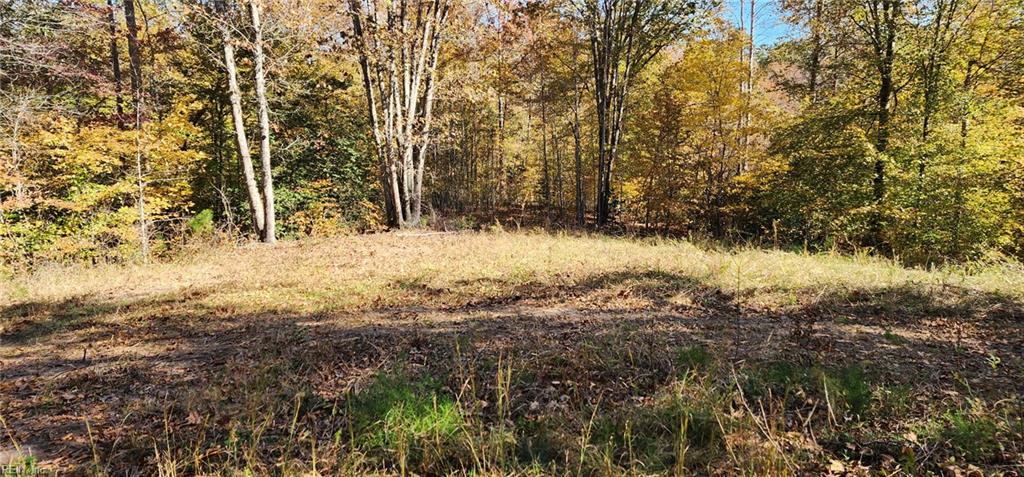 16.4ac Plainview Dr Property Photo 10