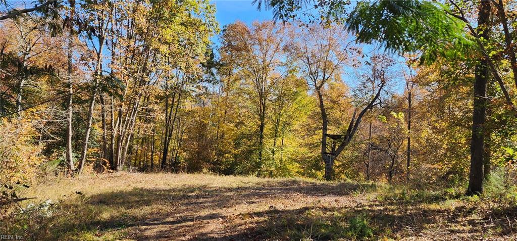 16.4ac Plainview Dr Property Photo 12