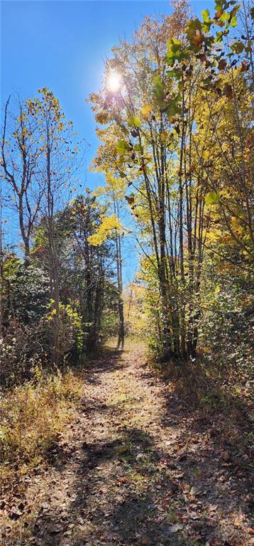 16.4ac Plainview Dr Property Photo 13