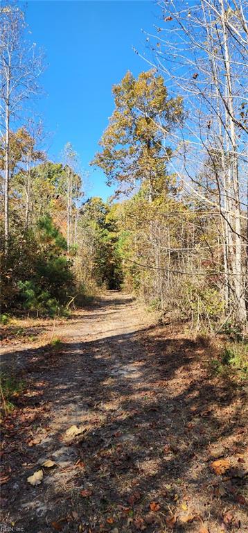 16.4ac Plainview Dr Property Photo 14