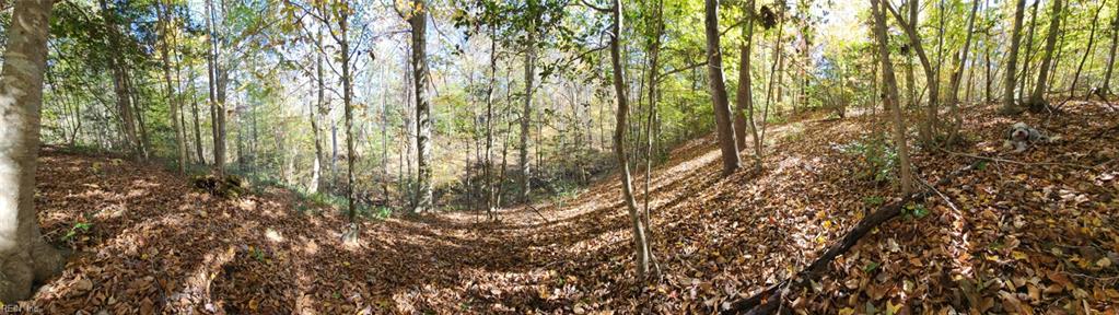 16.4ac Plainview Dr Property Photo 15