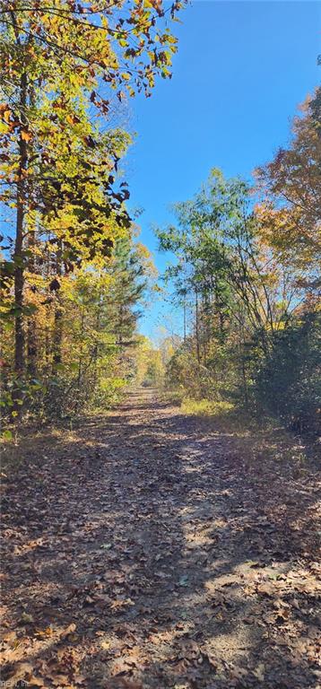 16.4ac Plainview Dr Property Photo 16