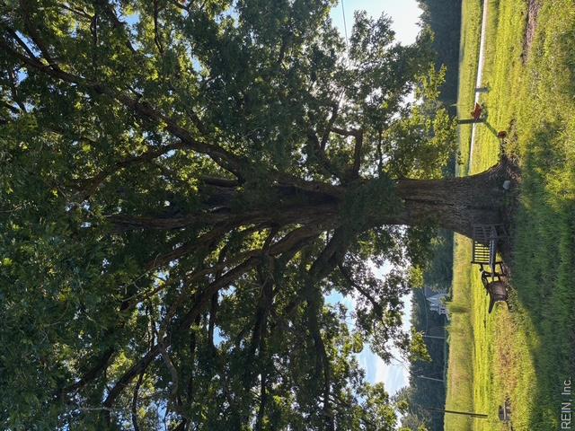 7496 Yellow Hammer Rd Property Photo 5