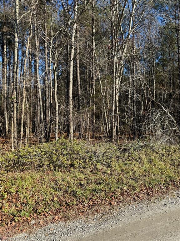 .95ac Cowpen Neck Rd Property Photo 1