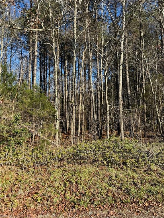 .95ac Cowpen Neck Rd Property Photo 2