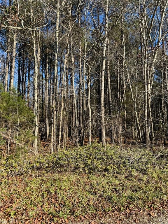 .95ac Cowpen Neck Rd Property Photo 4