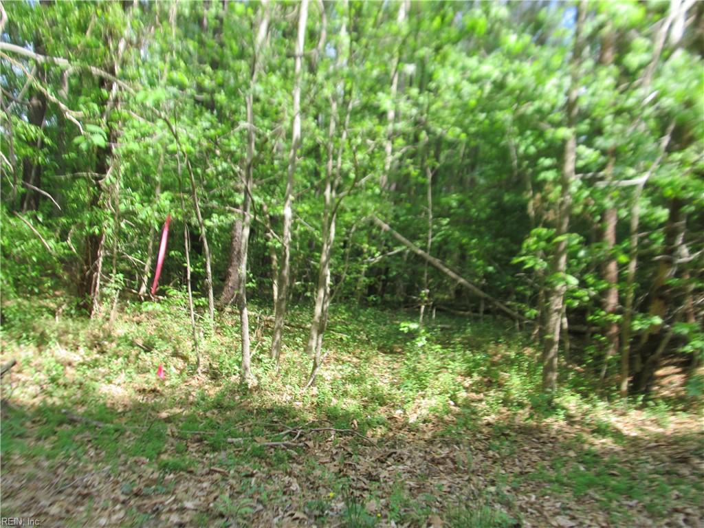 Lot 80 Poplar Springs Dr Property Photo 1