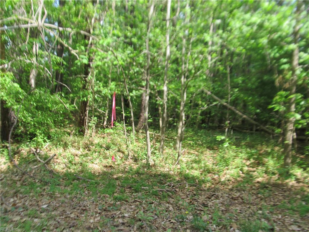 Lot 80 Poplar Springs Dr Property Photo 3