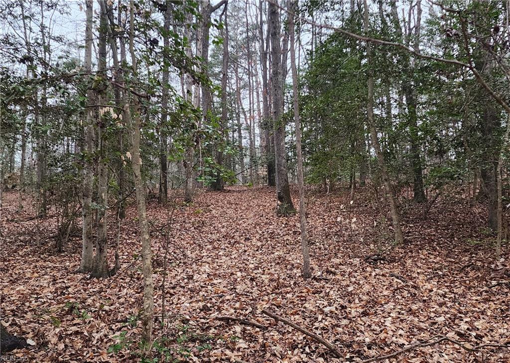 5.23ac Courthouse Rd Property Photo 1