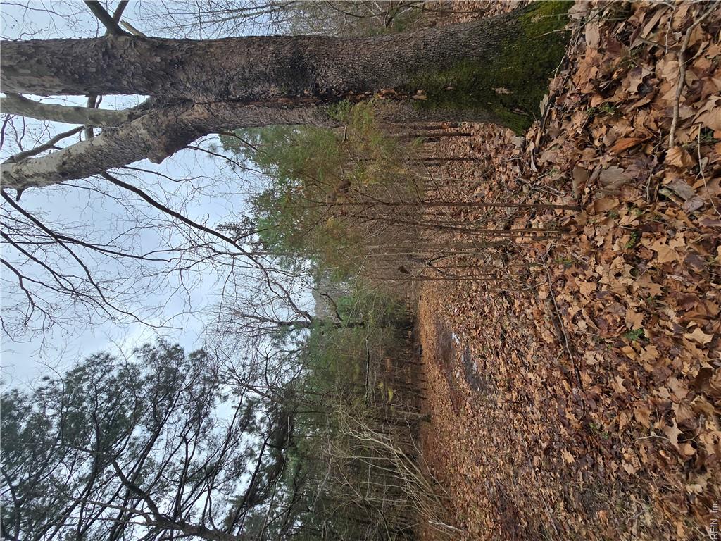 4200 John (304362300) St Property Photo 5