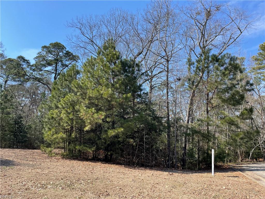 Lot129 Patriots Rdg Property Photo 8