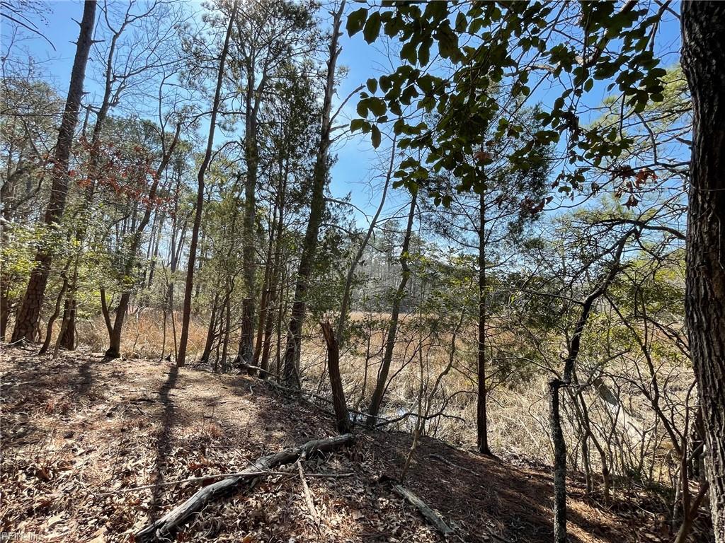 Lot129 Patriots Rdg Property Photo 9