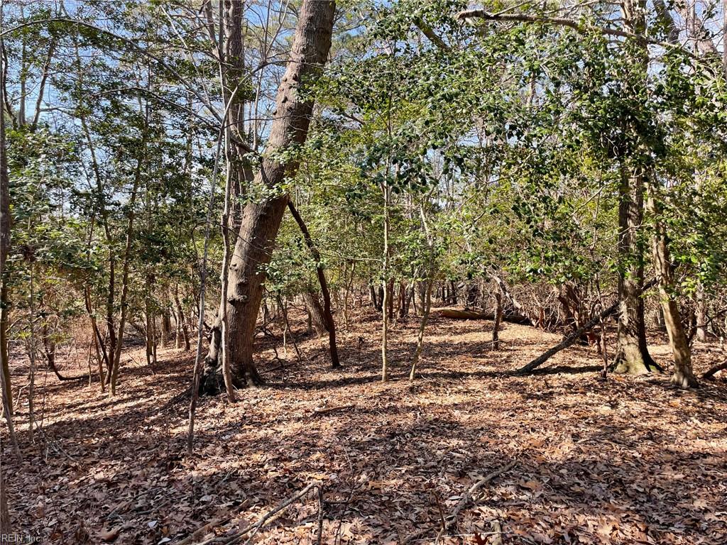 Lot129 Patriots Rdg Property Photo 11
