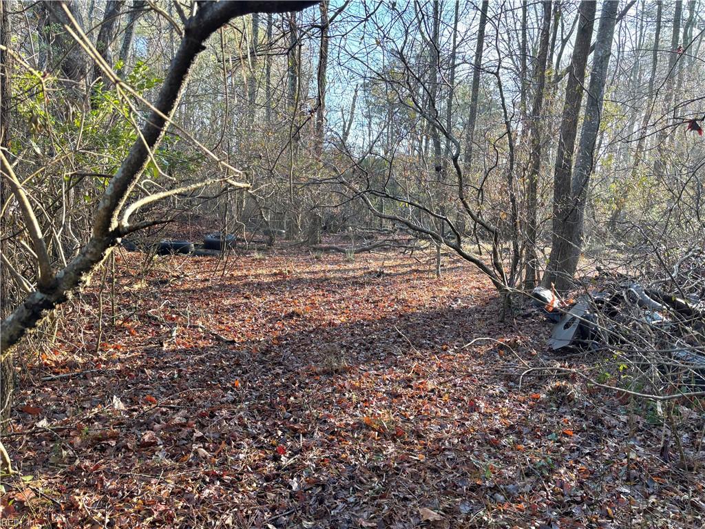 3016 New Bridge Rd Property Photo 5