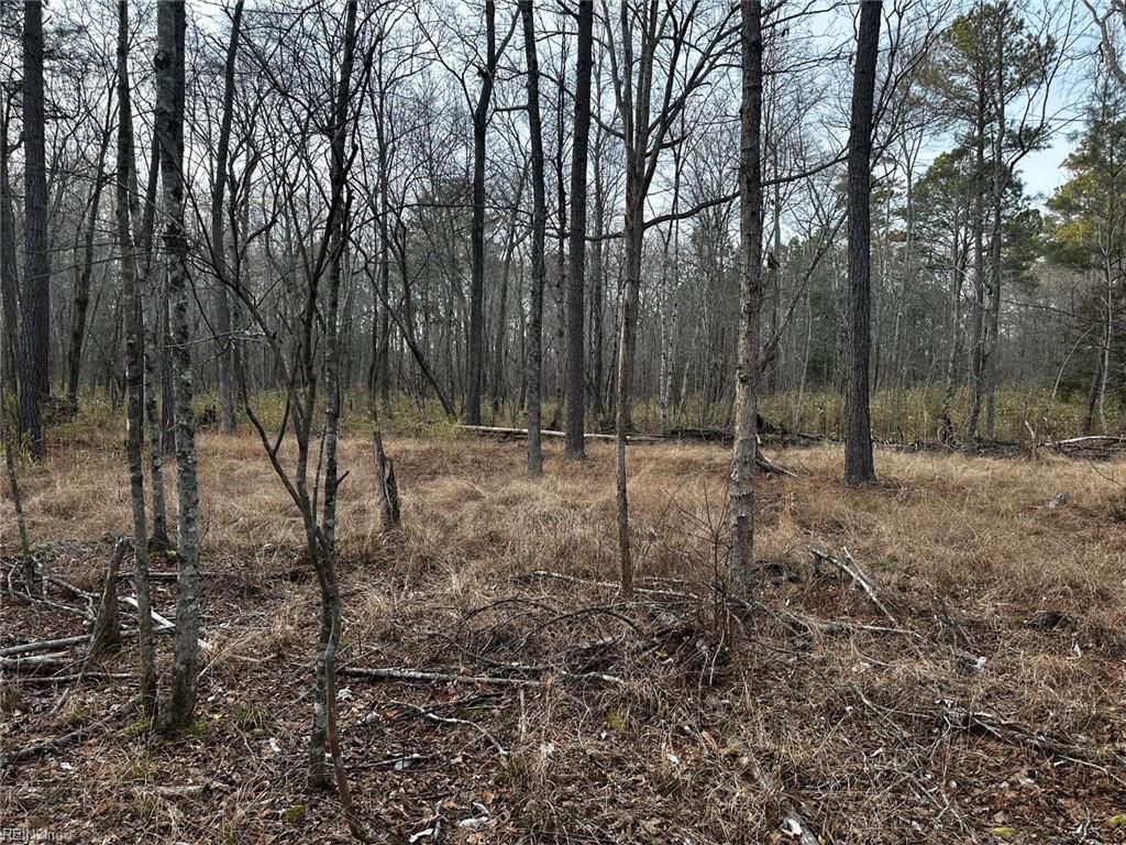 1.58ac General Thomas Hwy Property Photo 4