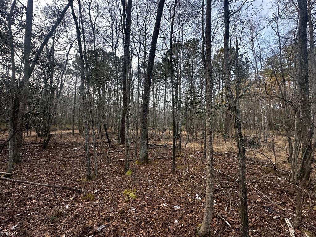 1.58ac General Thomas Hwy Property Photo 5