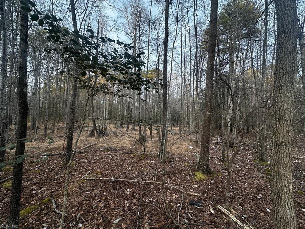 1.58ac General Thomas Hwy Property Photo 8