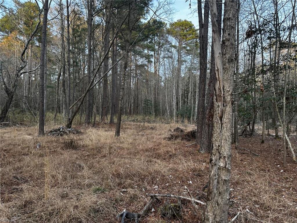 1.58ac General Thomas Hwy Property Photo 9